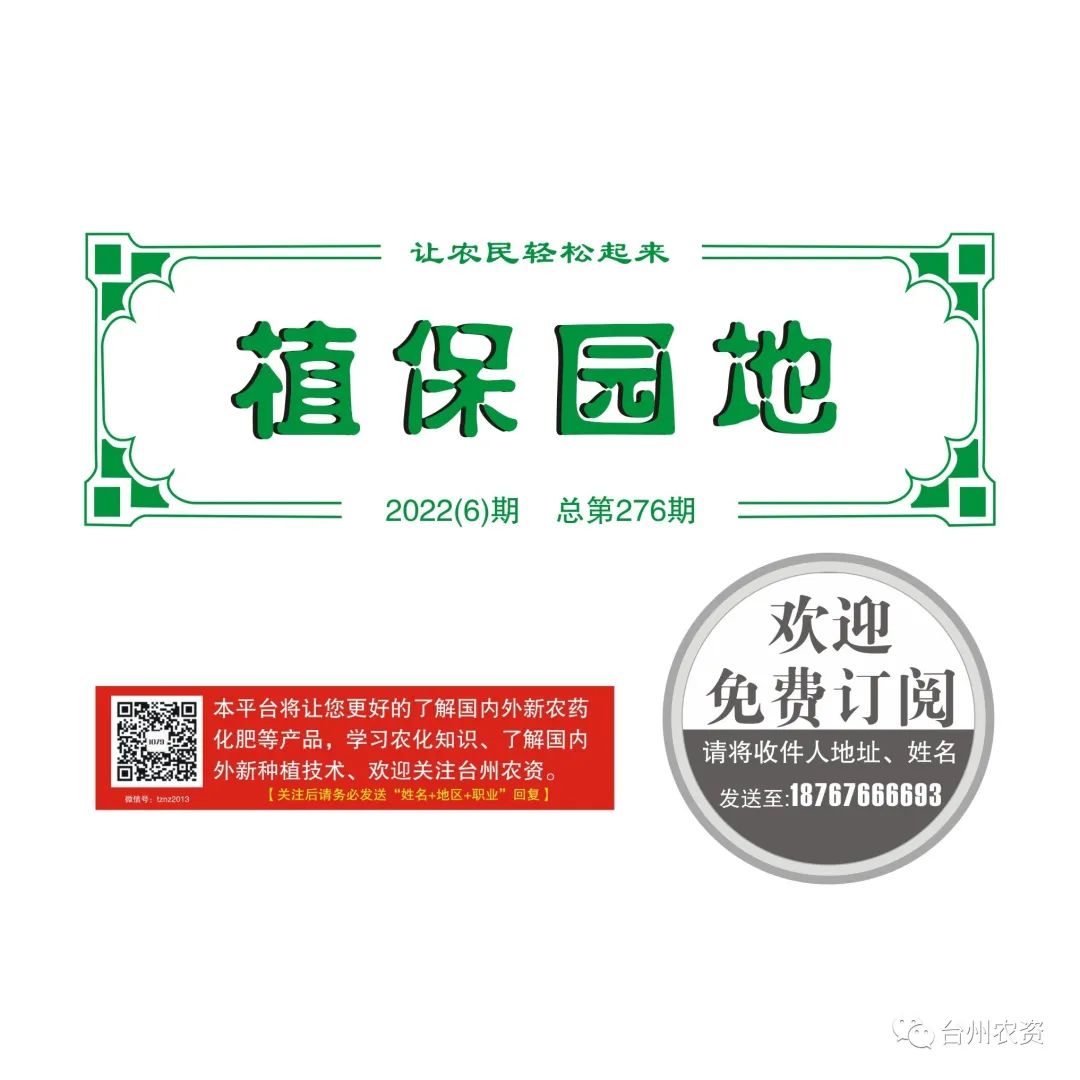 雜交水稻制種增施必奧硅、持力硼成熟期表現(xiàn)情況