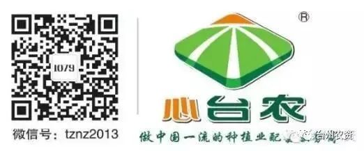果實接近成熟，警惕柑橘表面各種油胞病